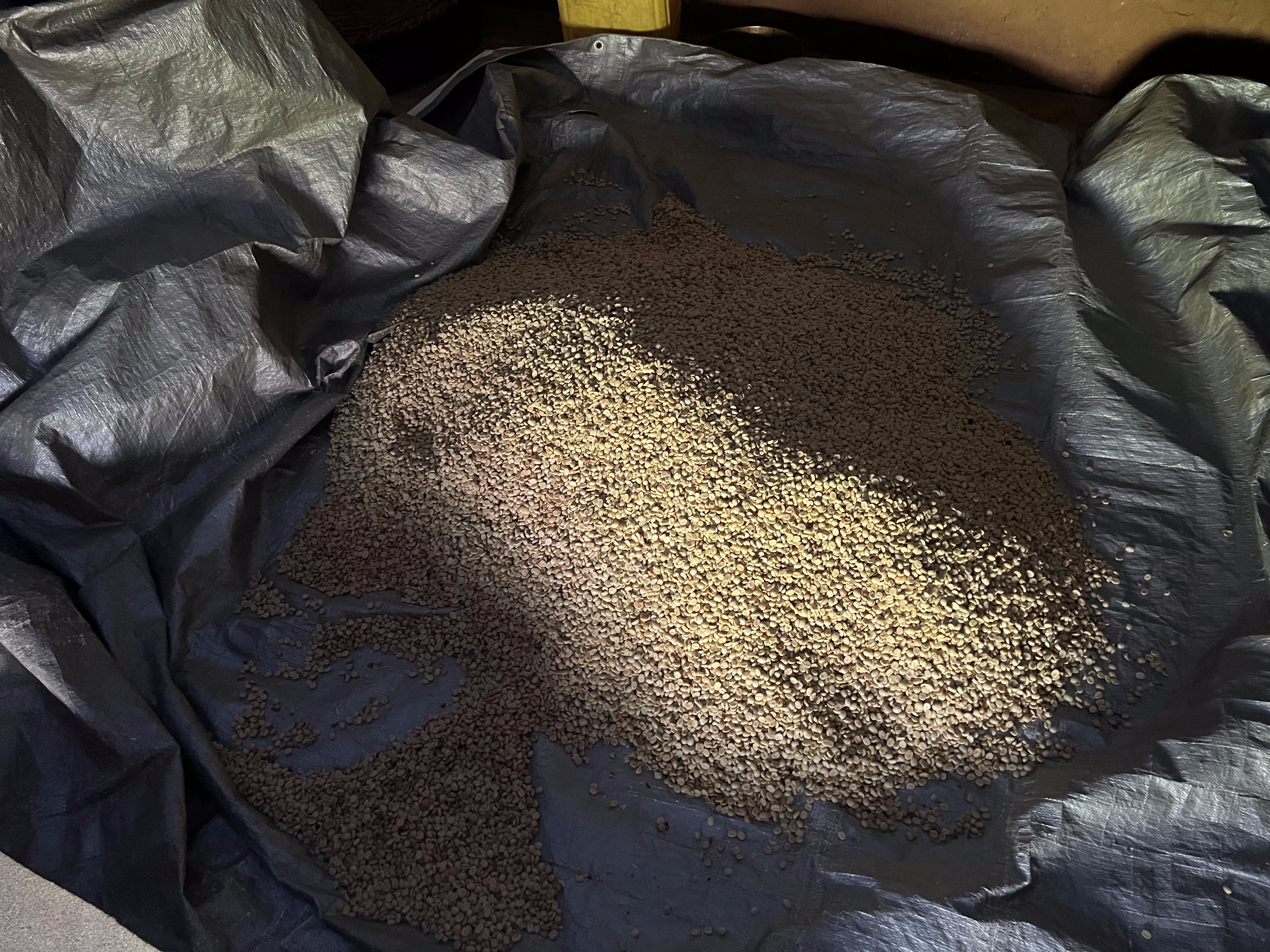 Rasuwa Khalchet Coffee