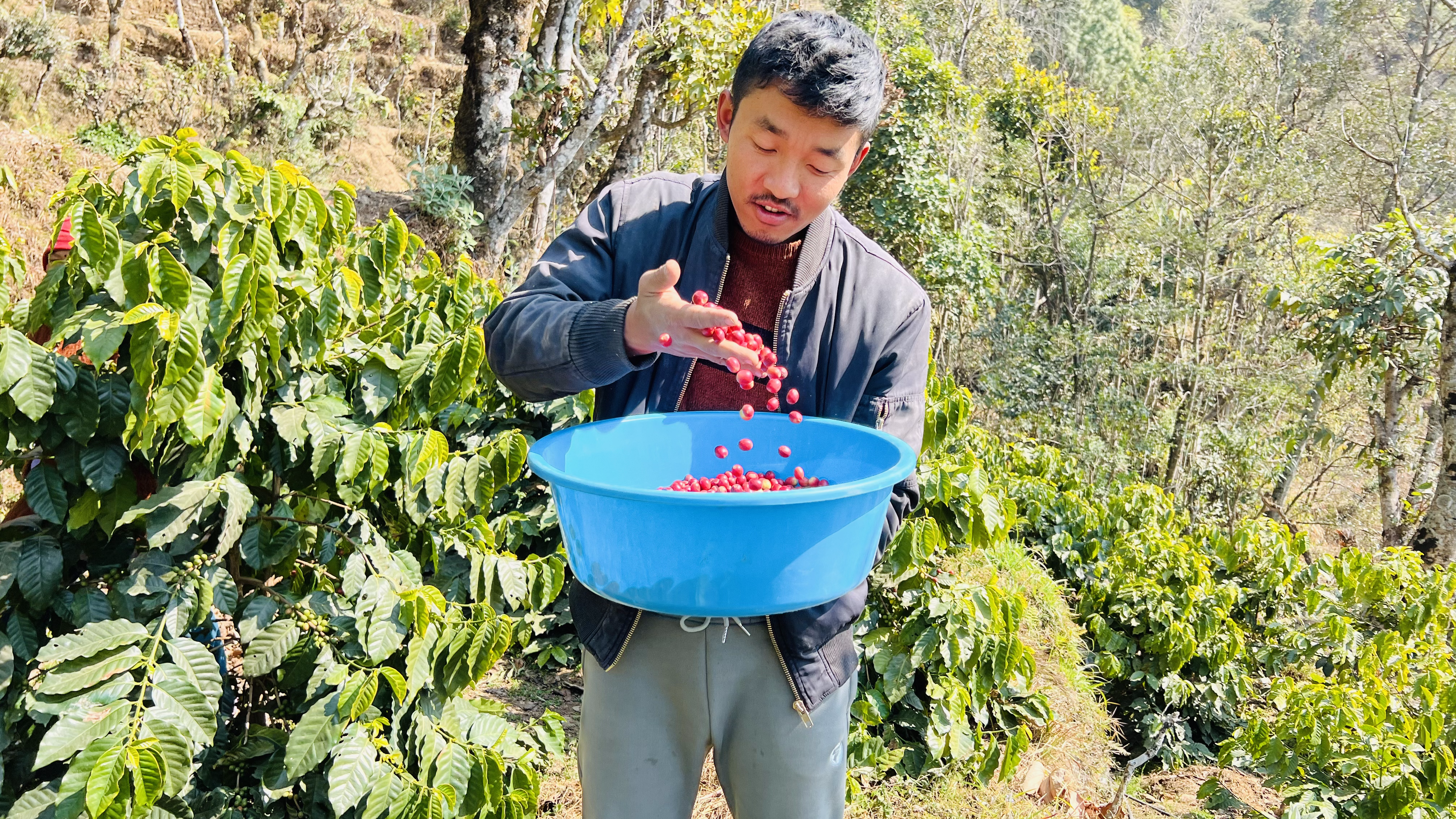 Rasuwa Khalchet Coffee